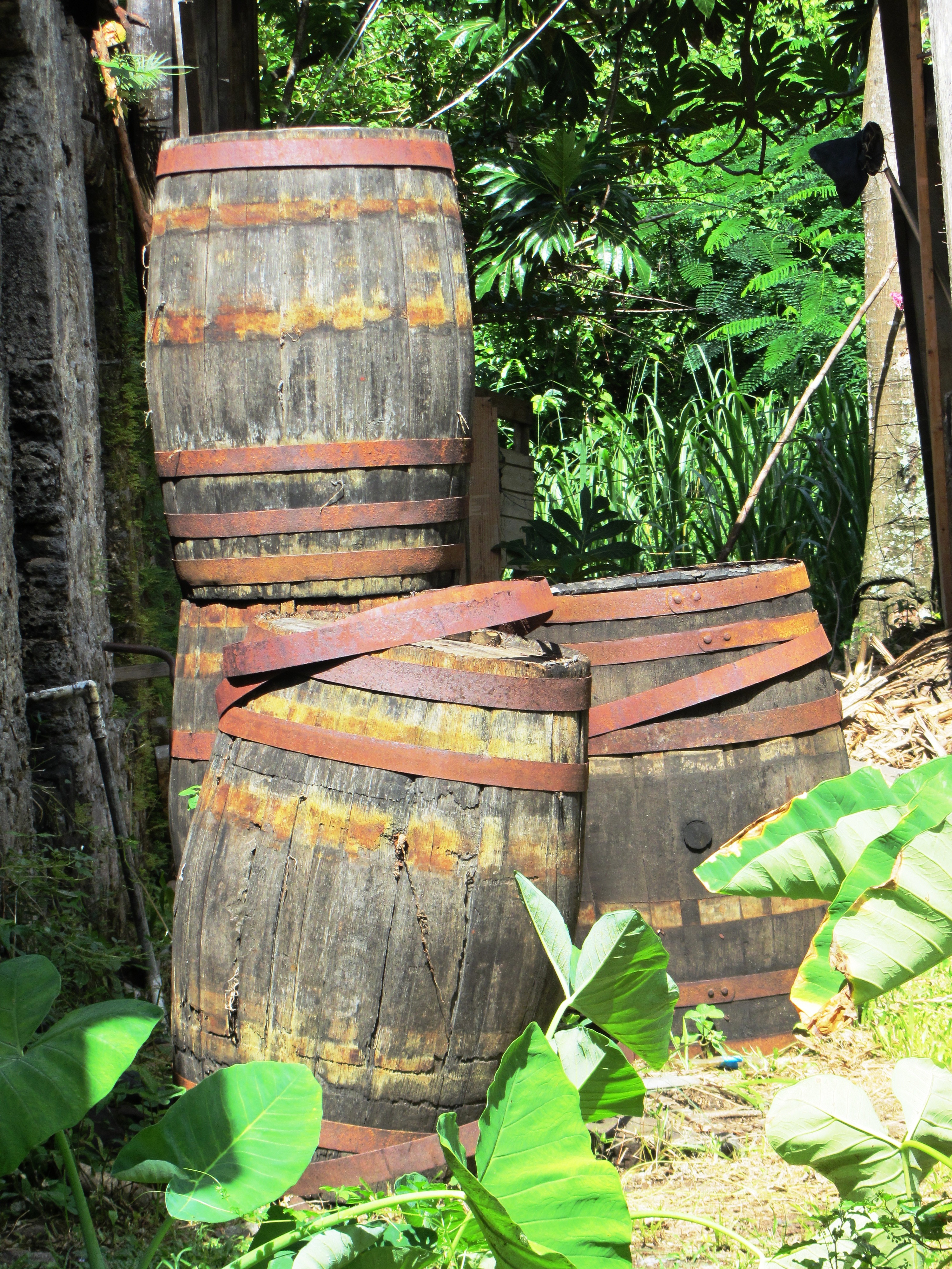 Photo of rum barrels