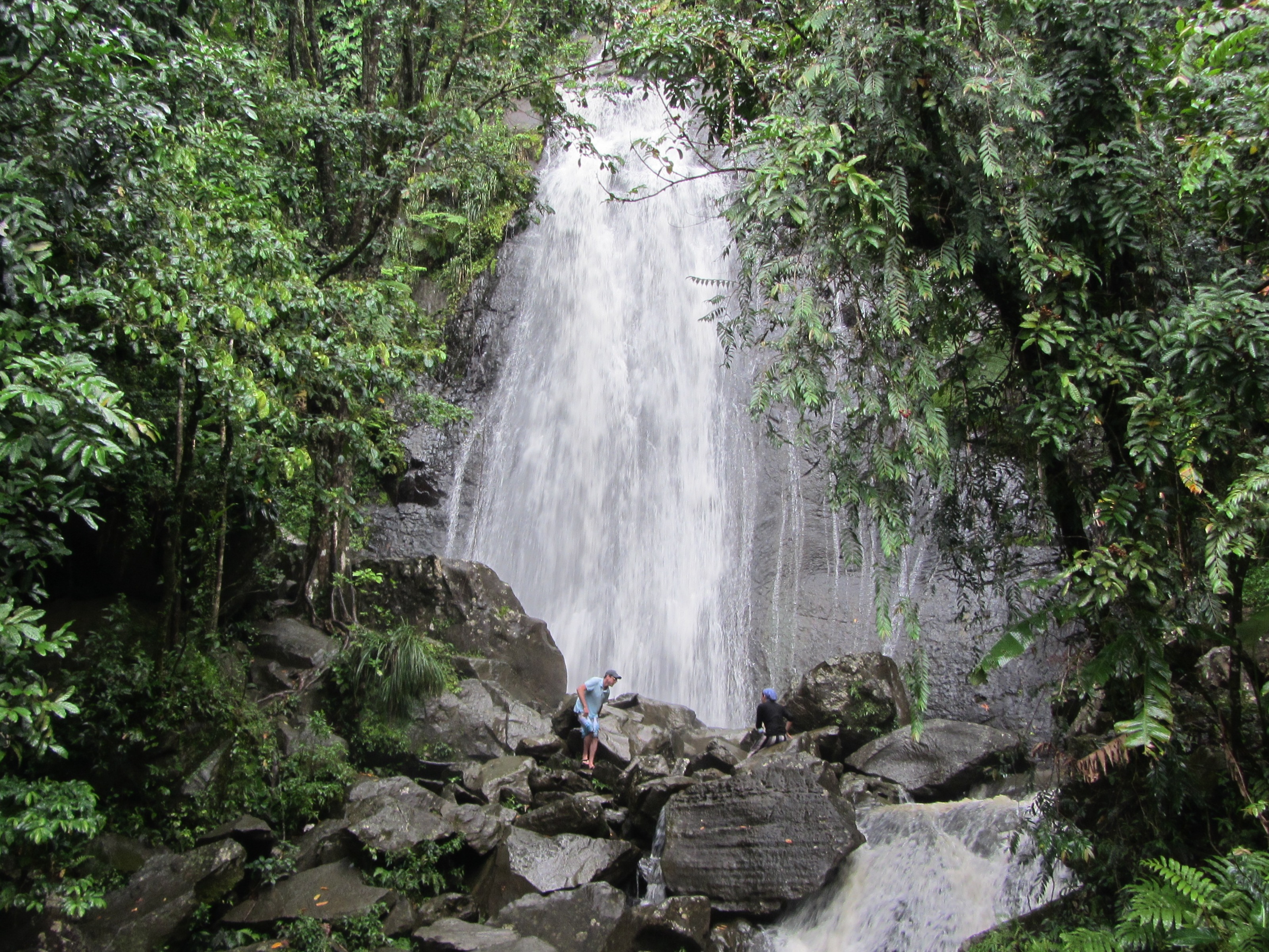 Photo of a waterfall at El Yunque
