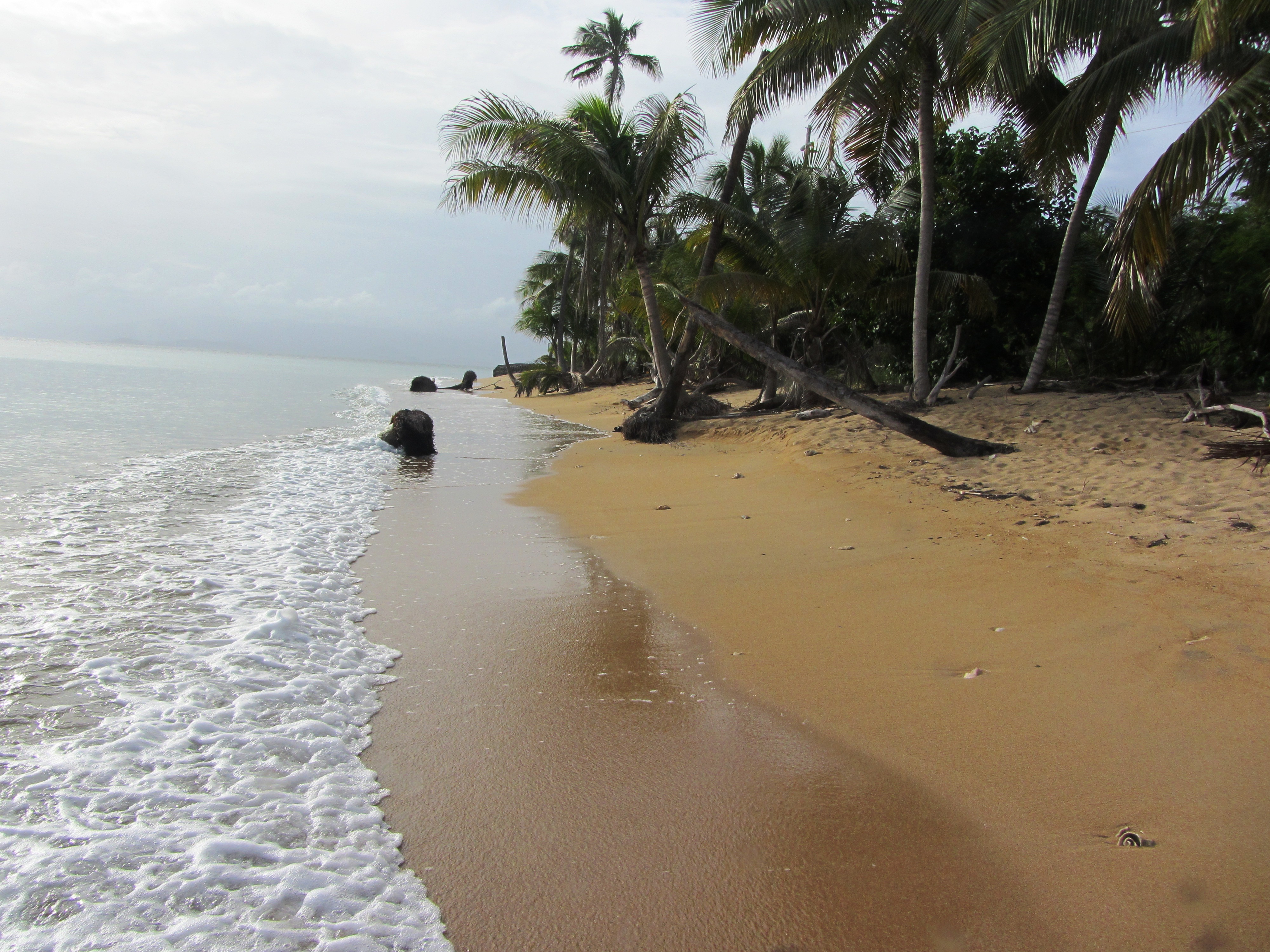Photo of a Vieques beach