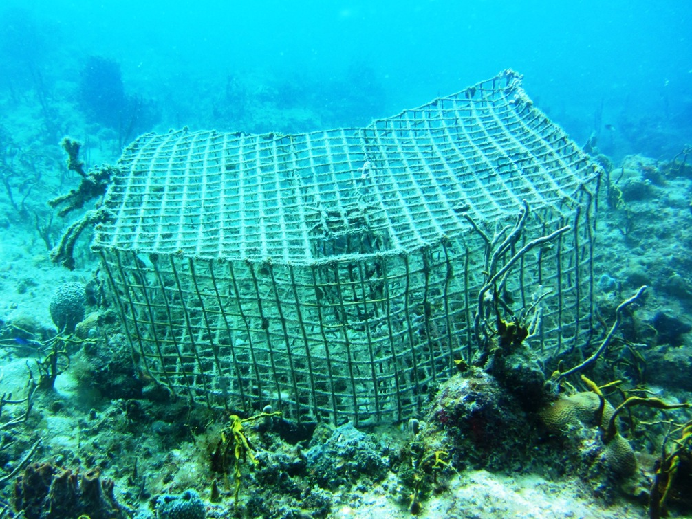 Photo of a lobster trap