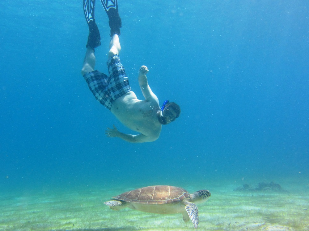 Another guest swimming with a turtle