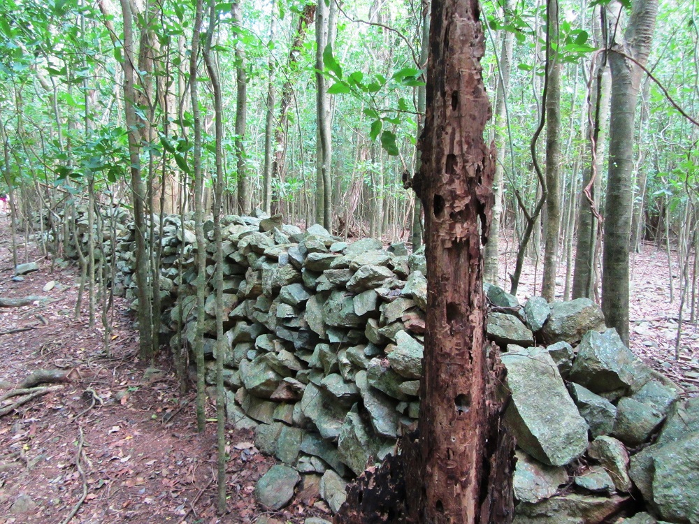 Photo of a plantation wall on St John