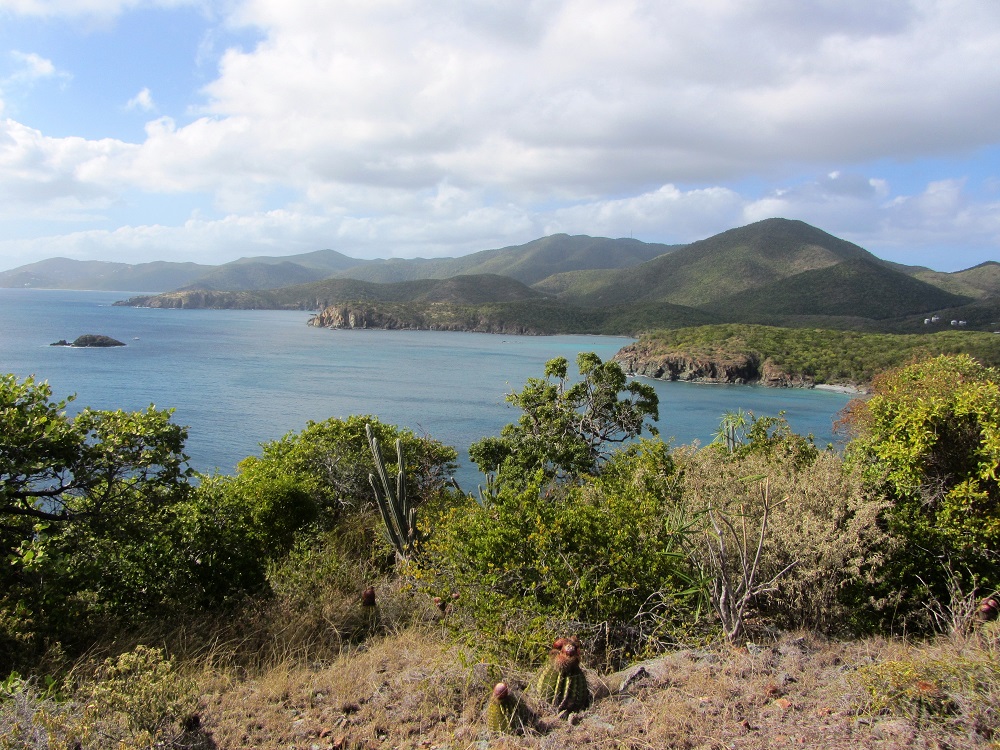 Want the best view of St John? Hike to Ram’s Head!