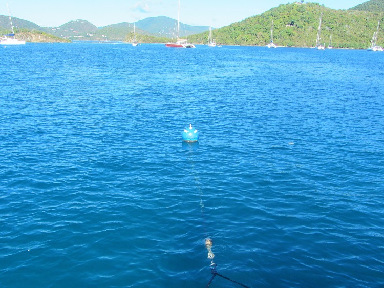 What are the blue mooring balls around St John for?