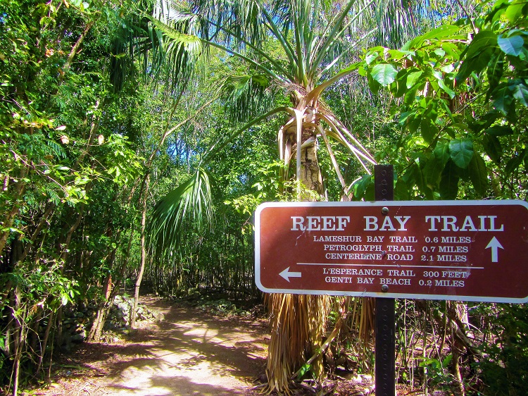 Hiking the Reef Bay trail on the south side of St John