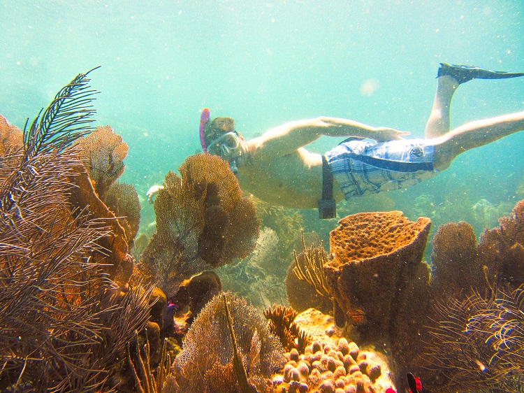 Today’s POTD is of a guest snorkeling a reef in the North Sound