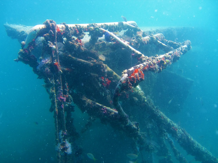 What is it about shipwrecks that is so facinating?