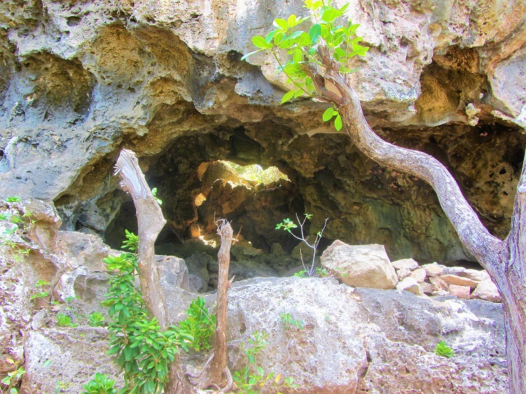 The caves of Barbuda and how to get there