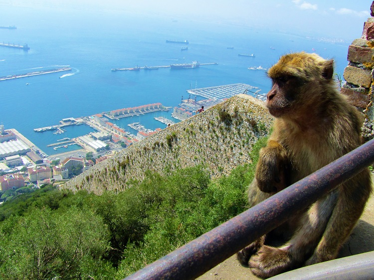 Continuing the exploration of Gibraltar