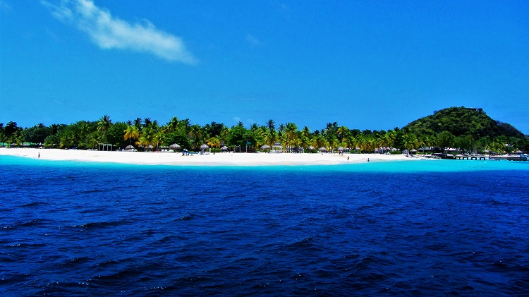 Johnny Coconut turned Palm Island into paradise