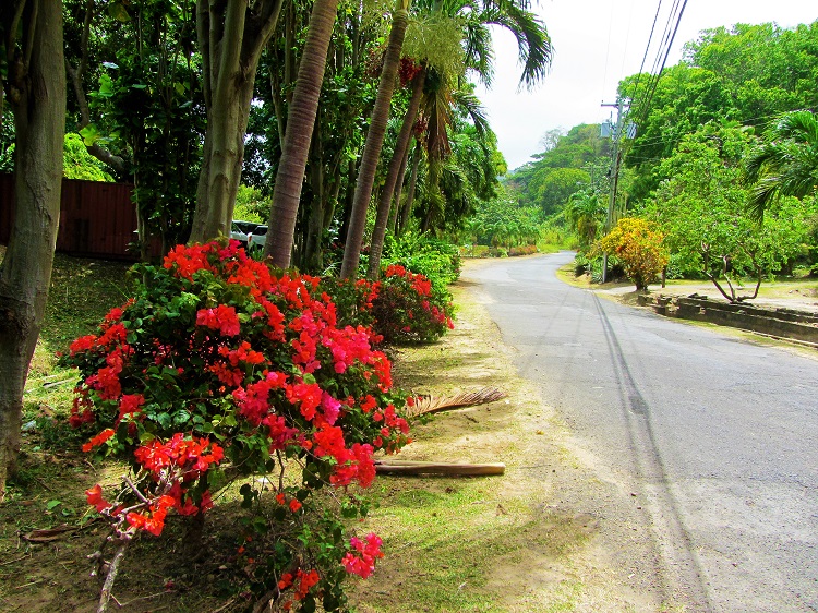Grenada will blow you away with its beauty!!!!!
