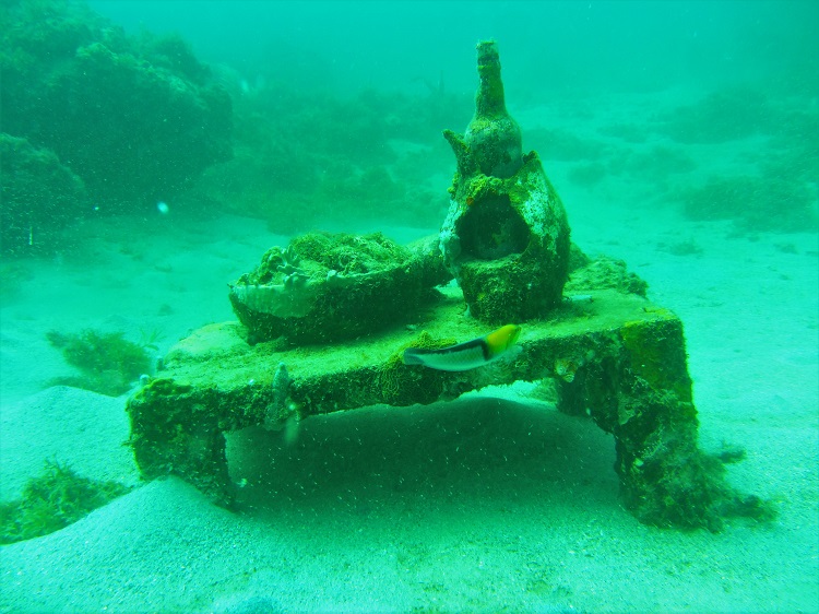 What did you think of the underwater sculpture garden?