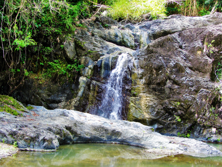 Green Hill Waterfall is a great last stop in Tobago