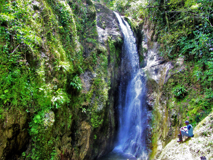 Check out this waterfall on Tobago