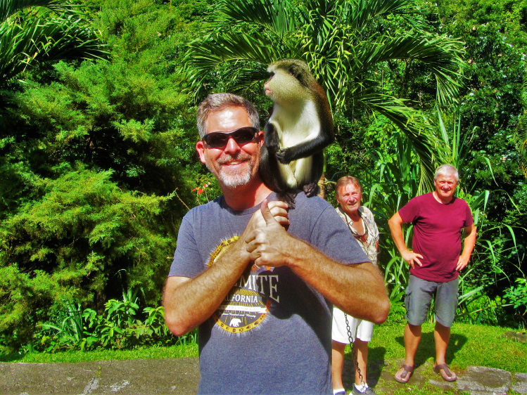 Mona monkeys in Grenada