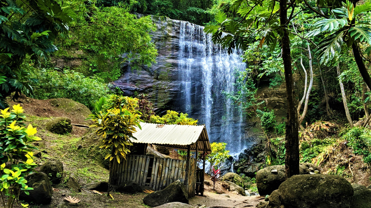Mt Carmel waterfall is another beautiful waterfall on Grenada