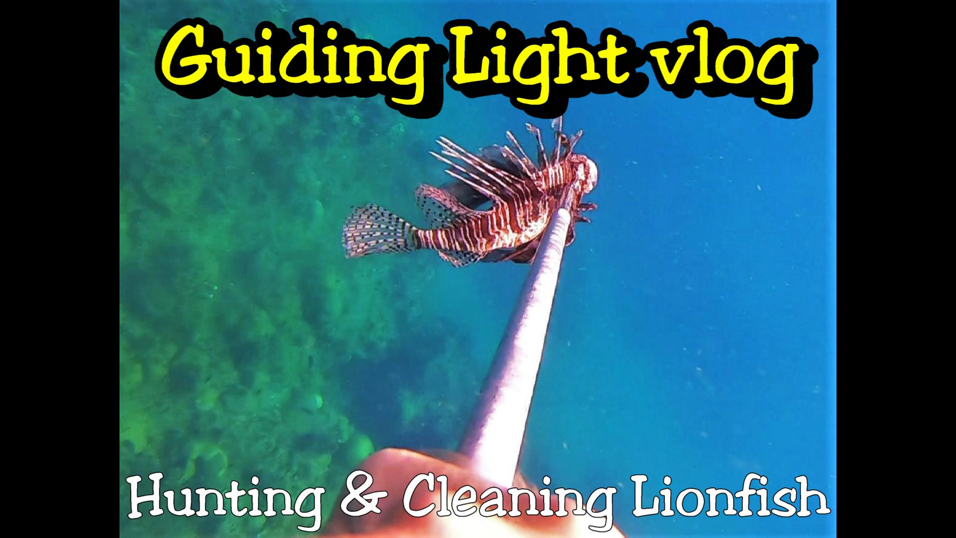 Another lionfish hunting video is now available
