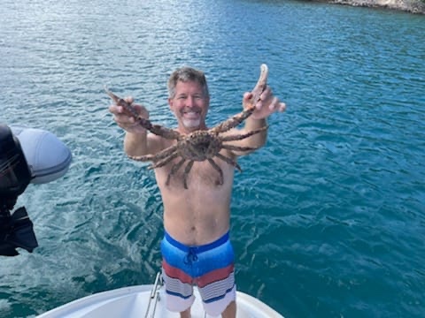 Check out this video of me finding spider crabs